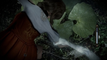Project Zero Maiden of Black Water Wii U Survival Horror Fatal Frame Screenshot
